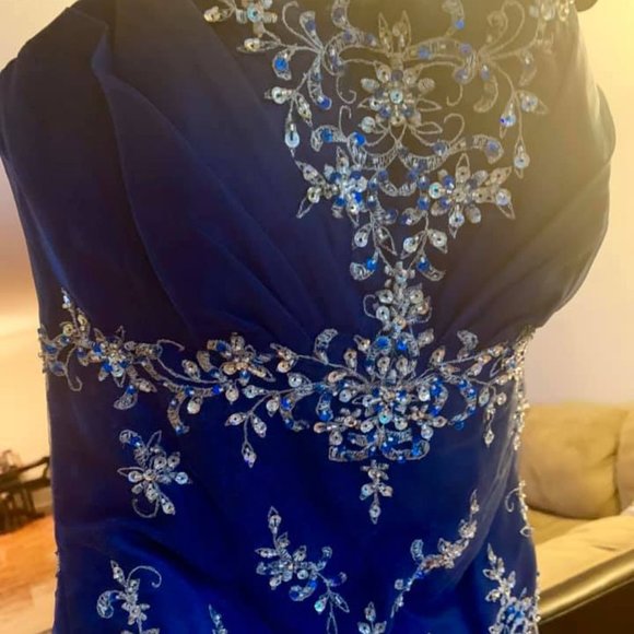 Quinceanera Dress - Picture 5 of 8